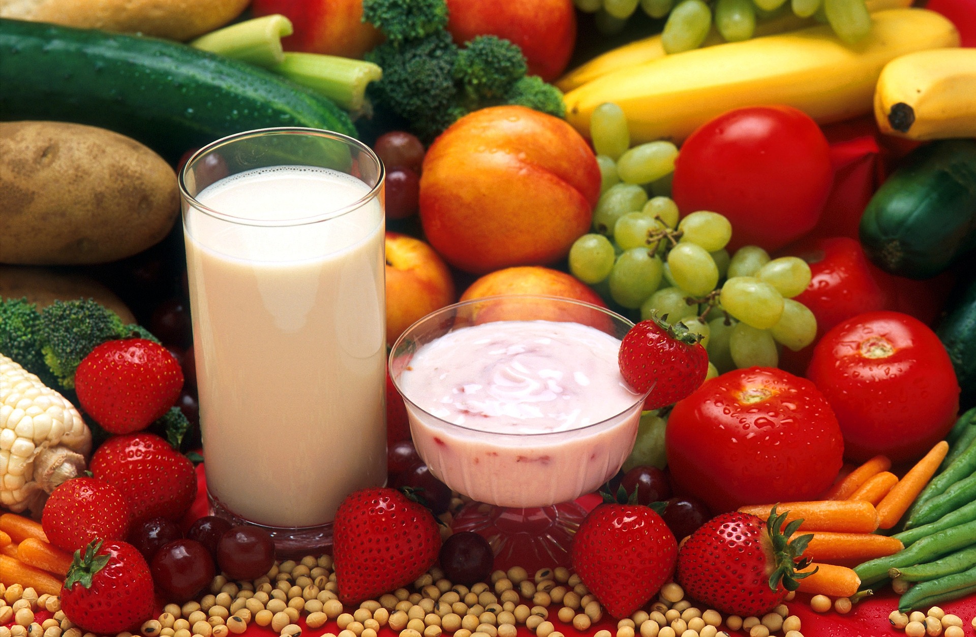 alimentos
