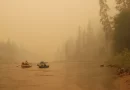 incêndios florestais
