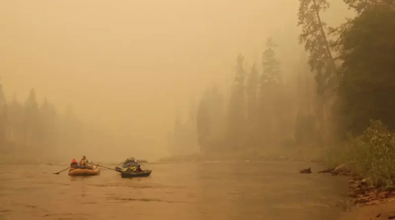 incêndios florestais
