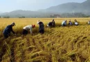 Agricultores