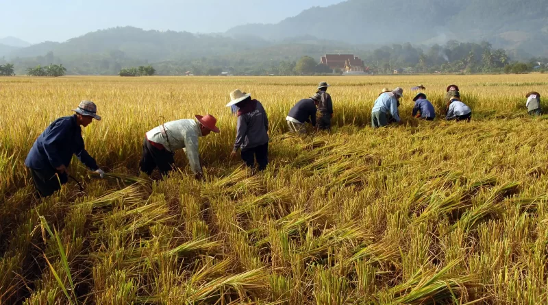 Agricultores