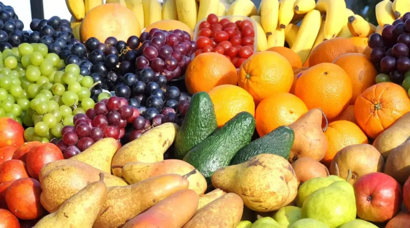 alimentos