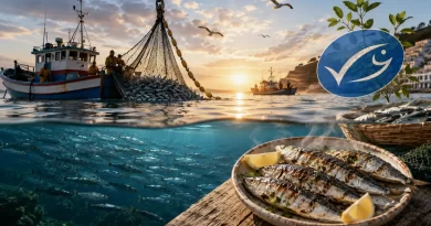 sardinha ibérica