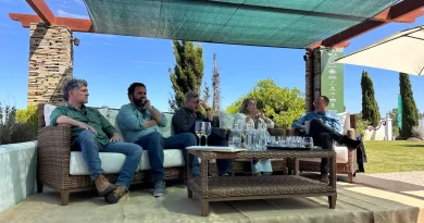 O custo de não mudar: viabilidade financeira e conhecimento na transição para a viticultura regenerativa