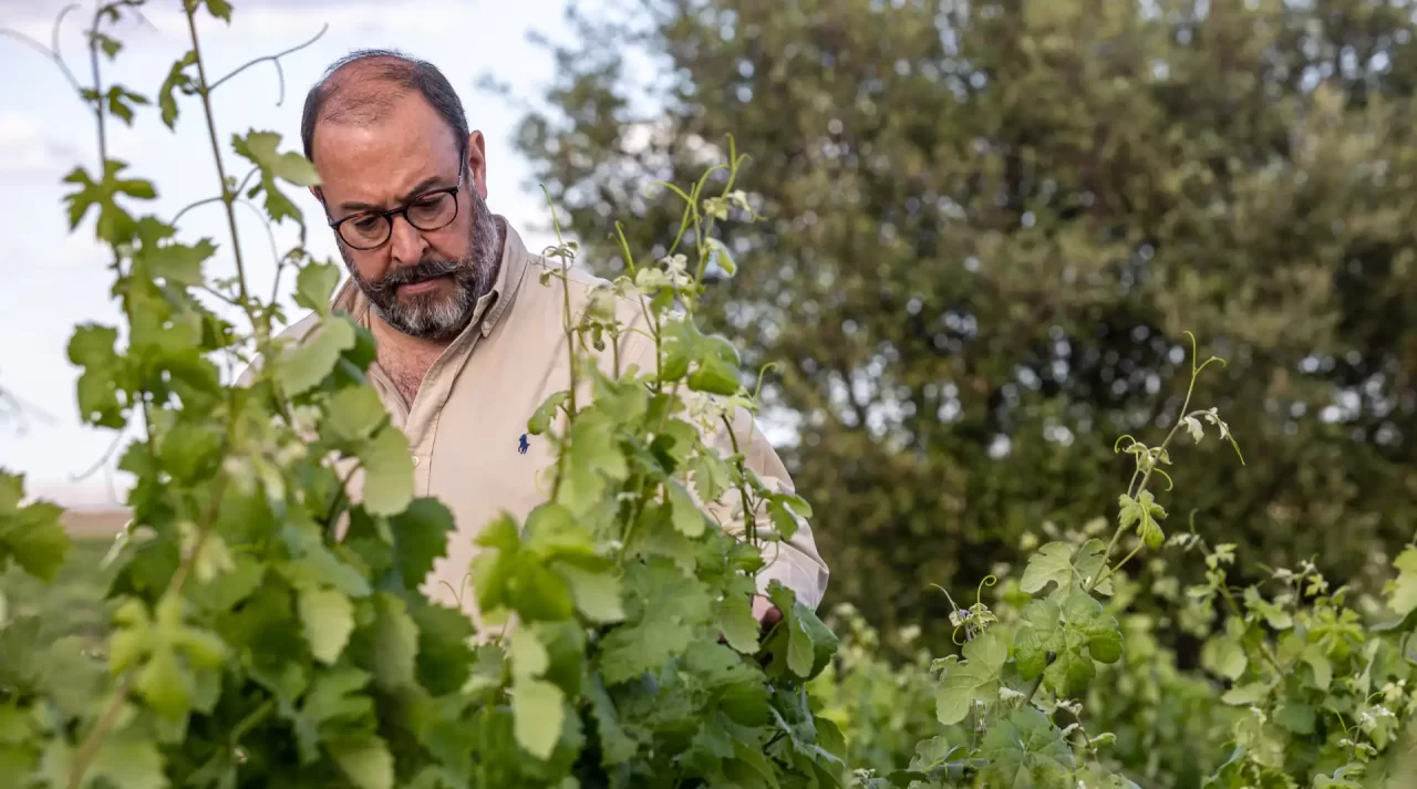 Na primeira pessoa… Luís Serrano Mira, proprietário da Herdade das Servas