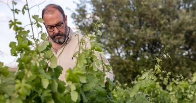 Na primeira pessoa… Luís Serrano Mira, proprietário da Herdade das Servas
