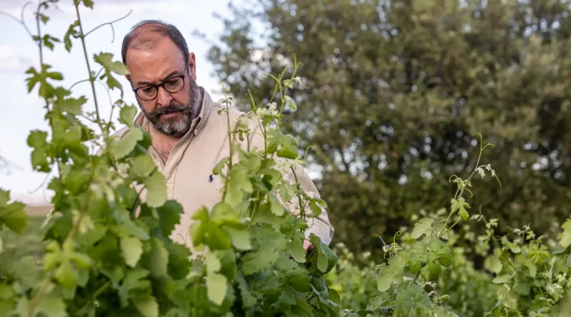 Na primeira pessoa… Luís Serrano Mira, proprietário da Herdade das Servas