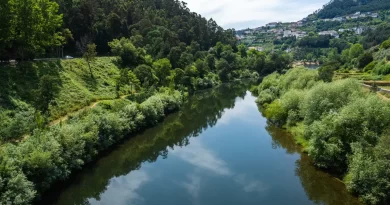 Microplásticos no Mondego e no Vouga: o que a investigação da Universidade de Coimbra encontrou - e o que isso significa