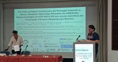 Os fósseis mais antigos de Portugal têm mais de 550 milhões de anos